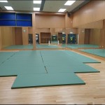 STARCO RUMAT230 柔道墊, 符合IJF標準, 技擊運動地墊